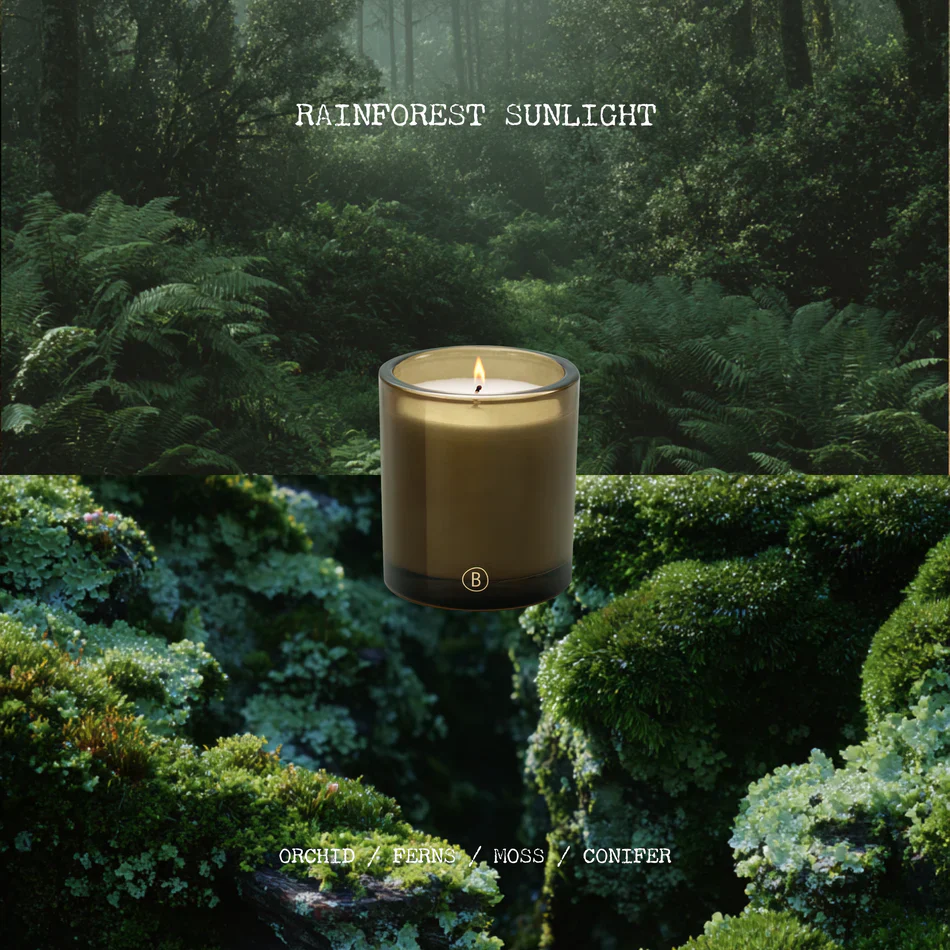 Rainforest Sunlight Scented Candle - Image 3