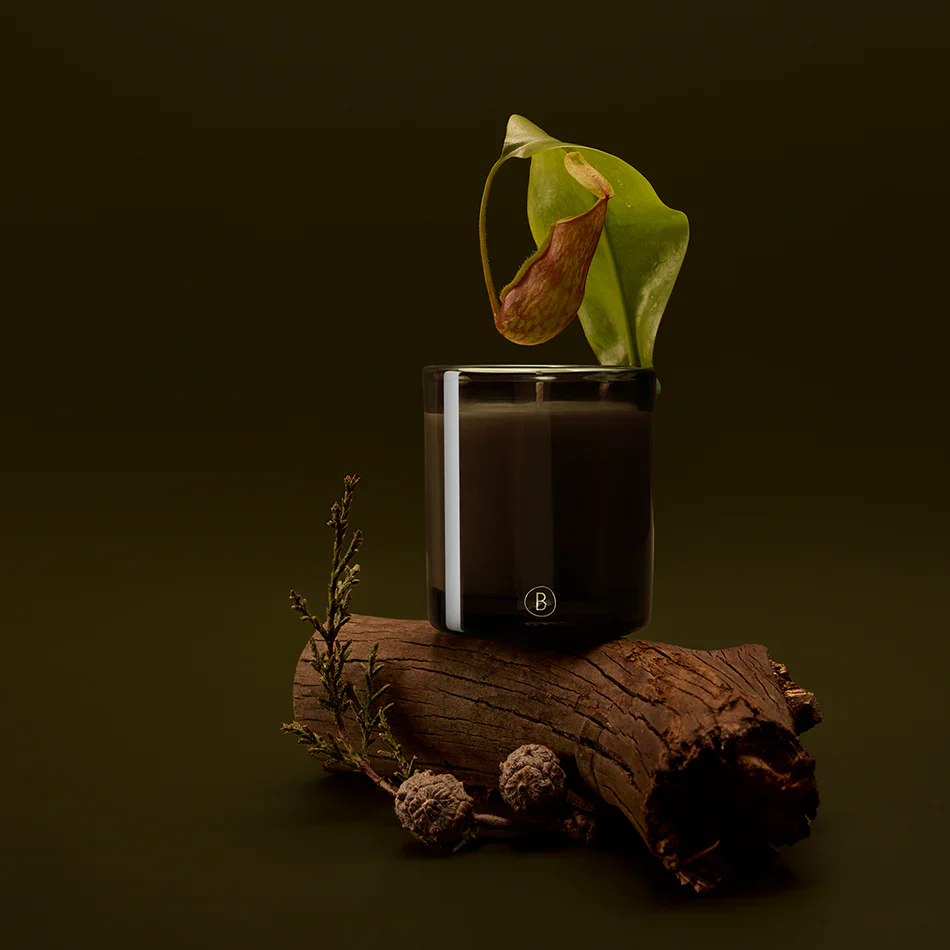 Rainforest Sunlight Scented Candle - Image 4